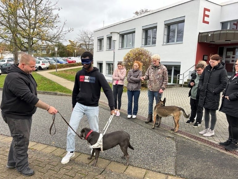 blindenhundetrainer