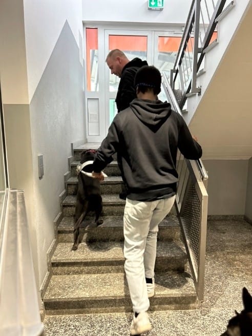 blindenhundetrainer2